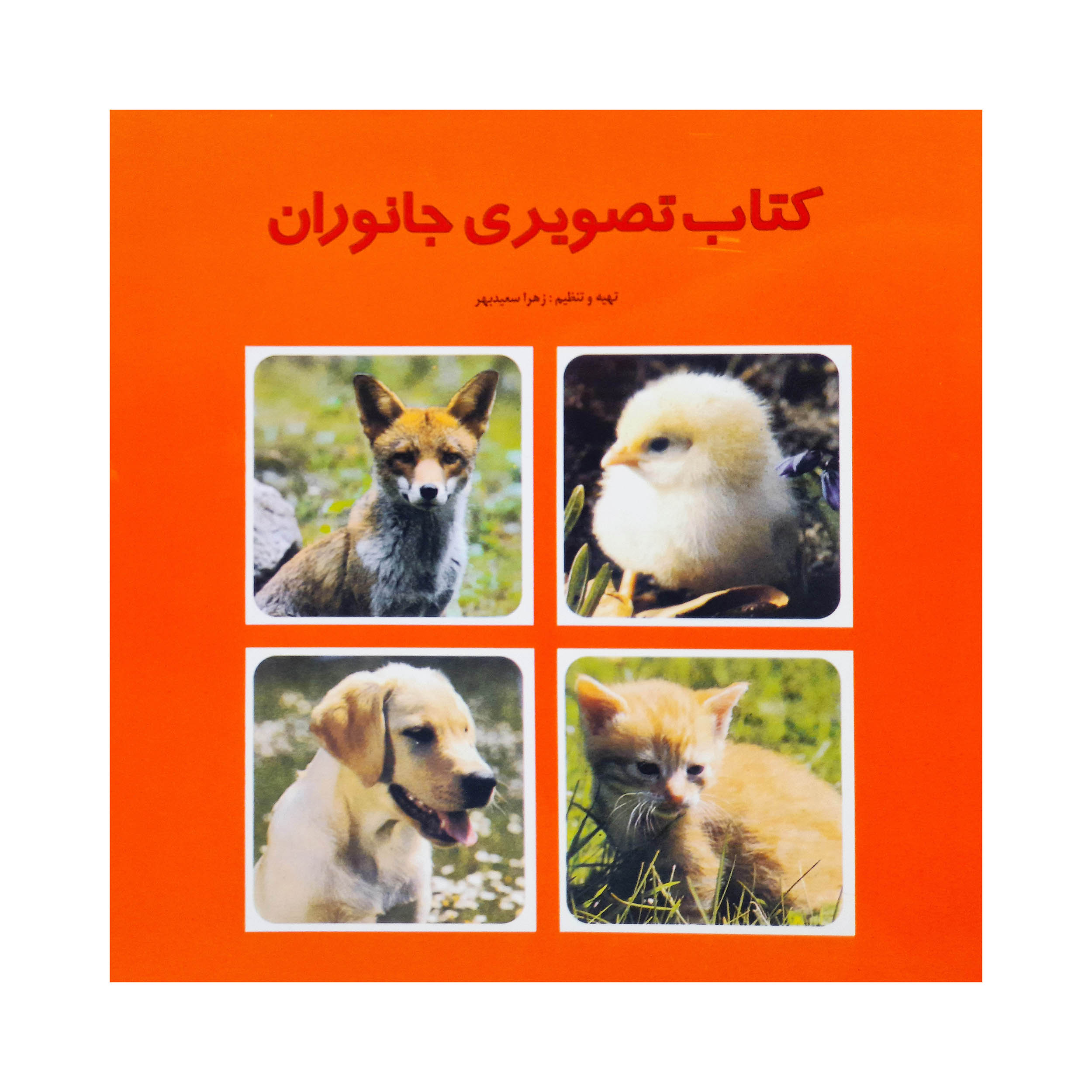 کتاب تصویری جانوان